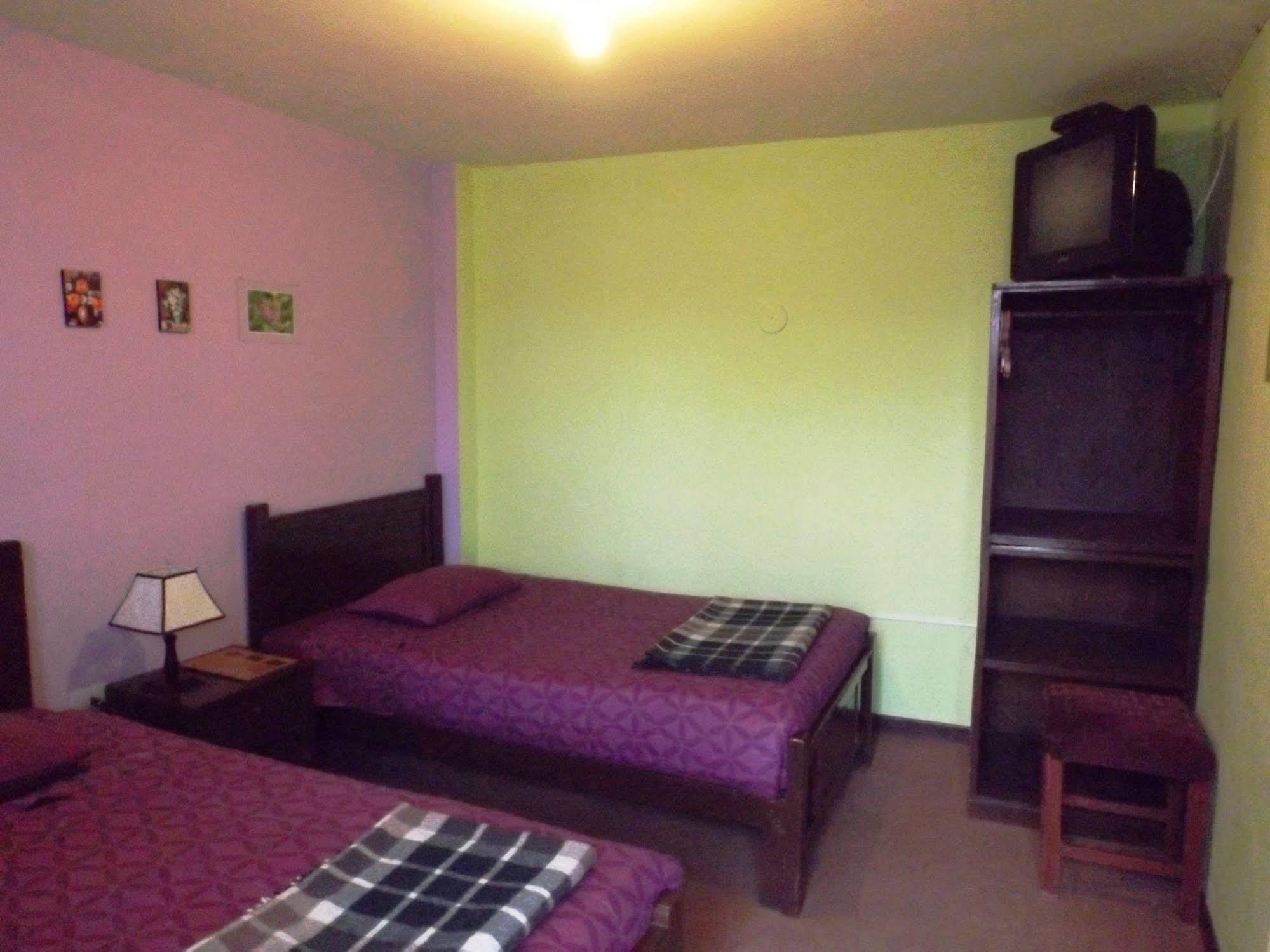 El Manzano Guest House プーノ エクステリア 写真