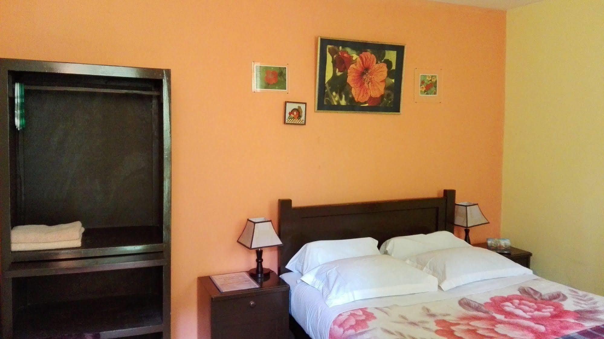 El Manzano Guest House プーノ エクステリア 写真